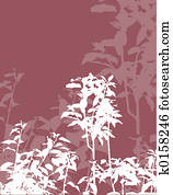Foliage Foliage