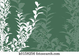 Foliage Foliage