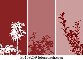 Foliage Foliage