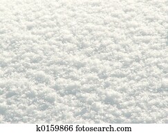 freshly, caído, neve