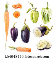 Watercolor vegetable set Watercolor vegetable set