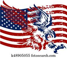 afligido, águia americana