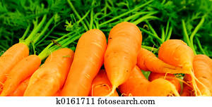 carrots carrots