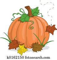 Fall pumpkin Fall pumpkin