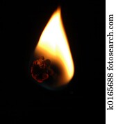 Flame Flame