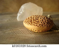 حجر الخفاف ألبوم الصور 1000 حجر الخفاف Images Fotosearch