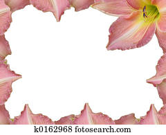 Lily Lily