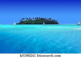 Tropical Fun Tropical Fun