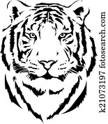 ראש של נמר, ב, שחור, פירוש