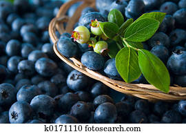 Blueberries