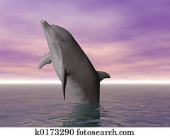 Breeching Dolphin Breeching Dolphin
