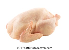 Chicken Chicken