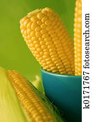 Corn Corn