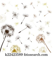 dandelions dandelions