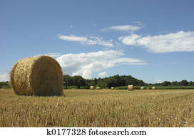 Farming Farming