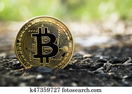 novo, crypto, moeda corrente, bitcoin, e, computador, taxa, finanças