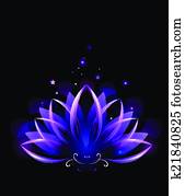 purple lotus purple lotus