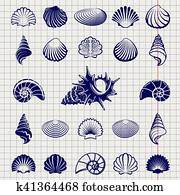 Sketch of sea shells Sketch of sea shells