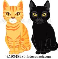 Tabby And Black Cats Tabby And Black Cats