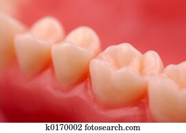 Teeth Teeth
