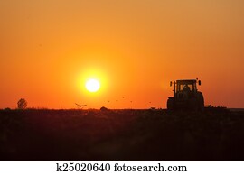 Tractor Plowing in dusk on sunset with crows