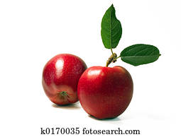 Two apples Two apples