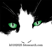 Cats eyes Cats eyes