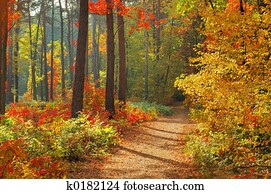 Colors of Fall Colors of Fall
