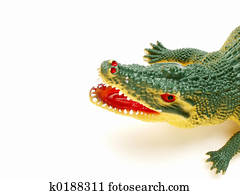 crocodile/alligator? crocodile/alligator?