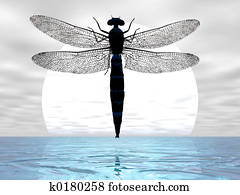 Dragonfly Moon Dragonfly Moon