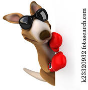 Fun kangaroo Fun kangaroo