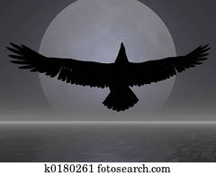 Moon Eagle Moon Eagle