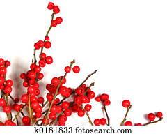 vermelho, natal, bagas, branco, 1