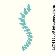 עמוד שדרה, וקטור, איקון