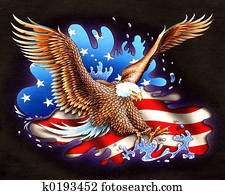 American American