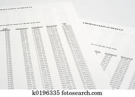 Amortization Schedule