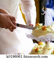 cutting cake cutting cake