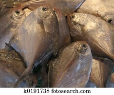 Download Catching fish Stock Photography | k0437665 | Fotosearch