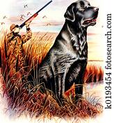 Hunter Hunter