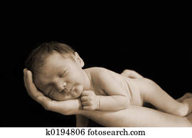 Newborn Newborn