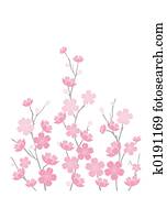 Pink Cherry Blossoms Pink Cherry Blossoms