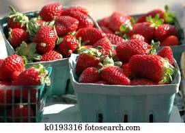 Strawberries For Sal Strawberries For Sal