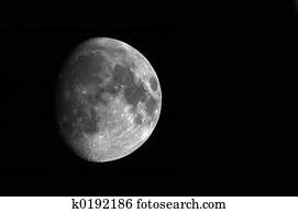 The Moon The Moon