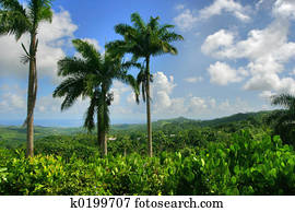 View on Atlantic Ocean