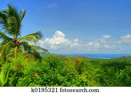 View on Atlantic Ocean