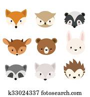 חמוד, שטח מיוער, בעלי חיים, אוסף