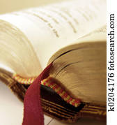 Bible Bible