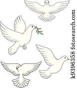 Dove vector Dove vector