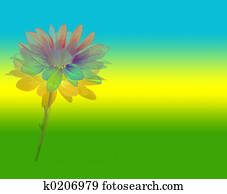 Flower Power Flower Power