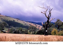 Outback Australia Outback Australia